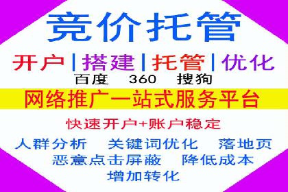 SEM托管实战案例：揭秘高效广告投放秘诀